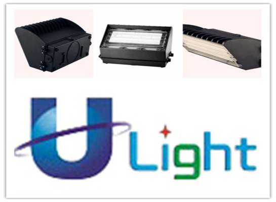 IP 65 Philips Exterior 60watt Wall Mounted Lighting with UL cUL DLC CE FCC