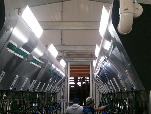 Constant Current  Led Linear Lights 85Watt Lower Maintenance Cost