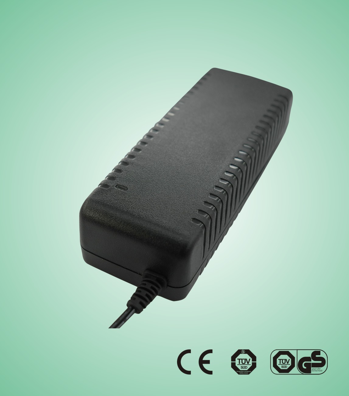 100W Desttop Switching Adapter Power